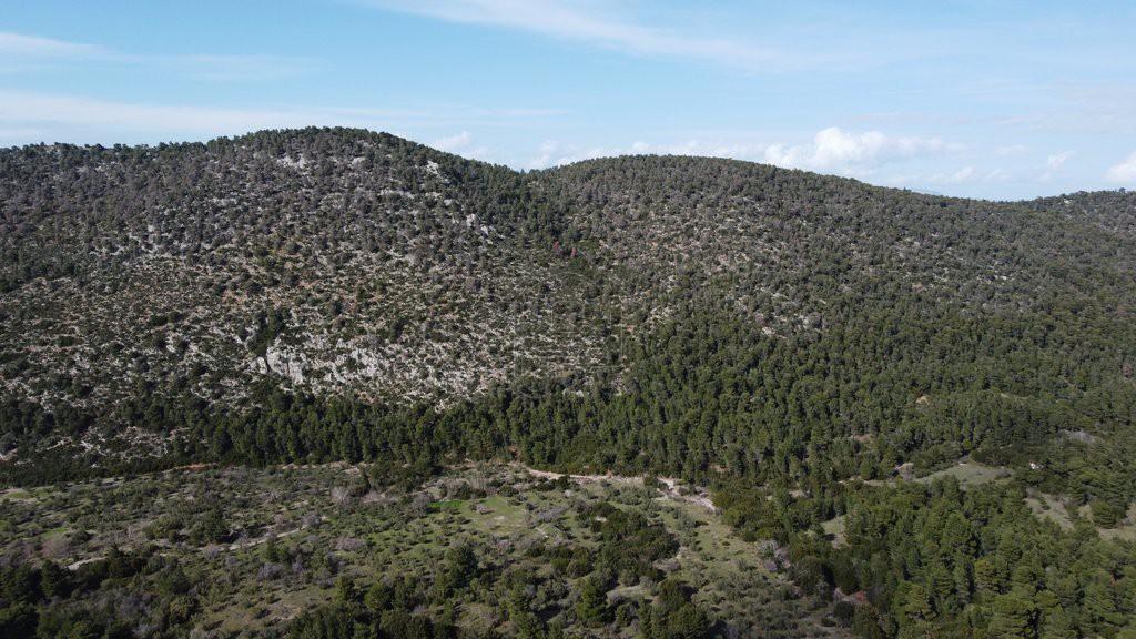 Οικόπεδο 2.070 τ.μ. προς πώληση, Πίσια