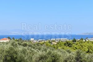 Αγροτεμάχια 4.045 τ.μ. για πώληση