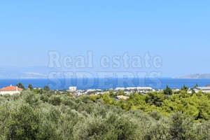 Αγροτεμάχια 4.045τ.μ. για πώληση-Λουτράκι-περαχώρα