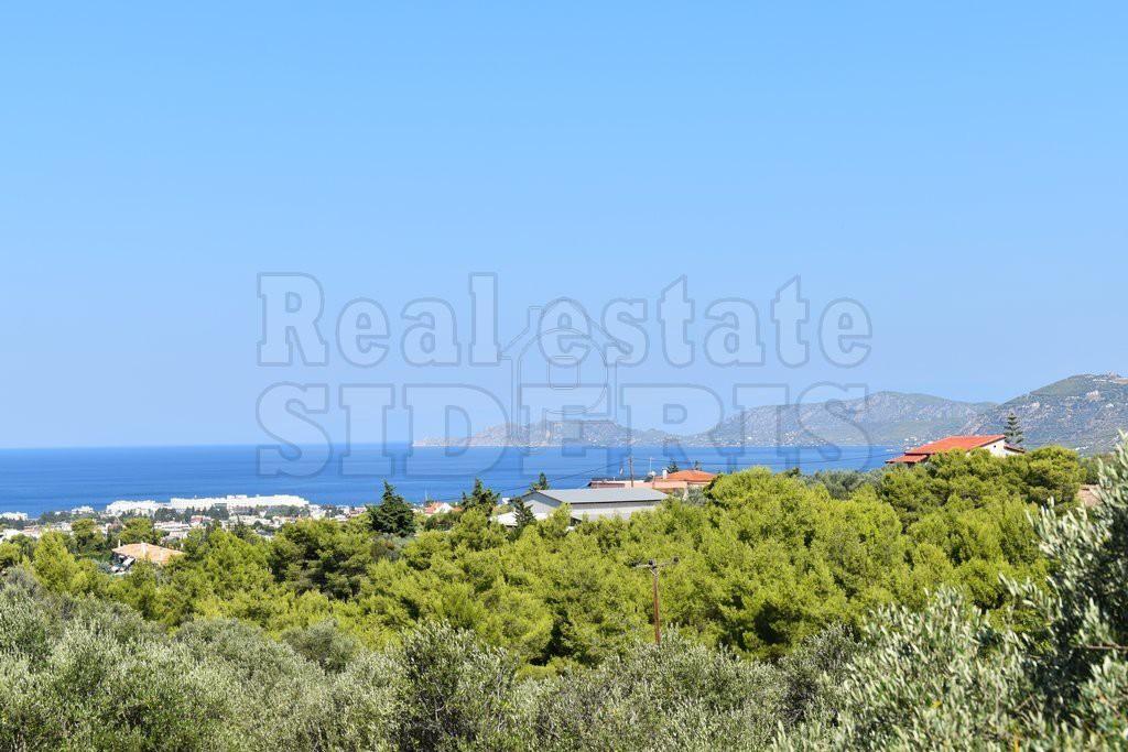 Αγροτεμάχια 4.045 τ.μ. προς πώληση, Λουτράκι-Περαχώρα