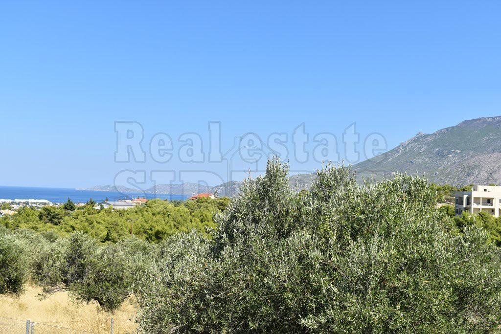 Αγροτεμάχια 4.045 τ.μ. προς πώληση, Λουτράκι-Περαχώρα