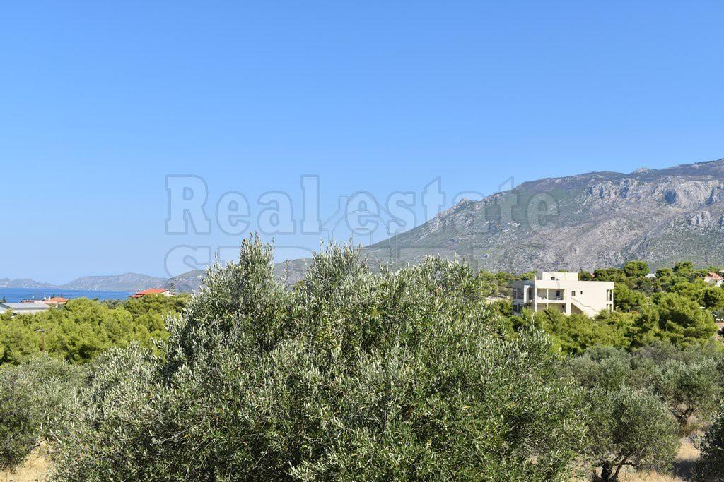 Αγροτεμάχια 4.045 τ.μ. προς πώληση, Λουτράκι-Περαχώρα