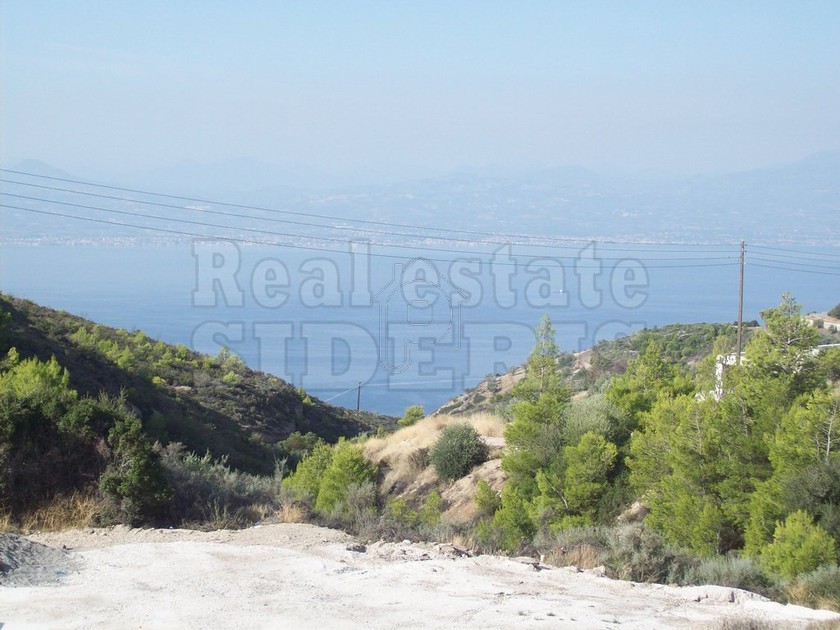 Αγροτεμάχια 5.500τ.μ. για πώληση-Λουτράκι-περαχώρα