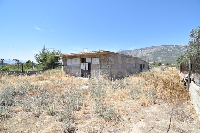 Parcel 5.000sqm for sale-Loutraki-Perachora
