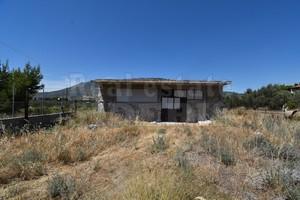 Αγροτεμάχια 5.000 τ.μ. για πώληση, Κορινθία, Λουτράκι-Περαχώρα-thumb-1