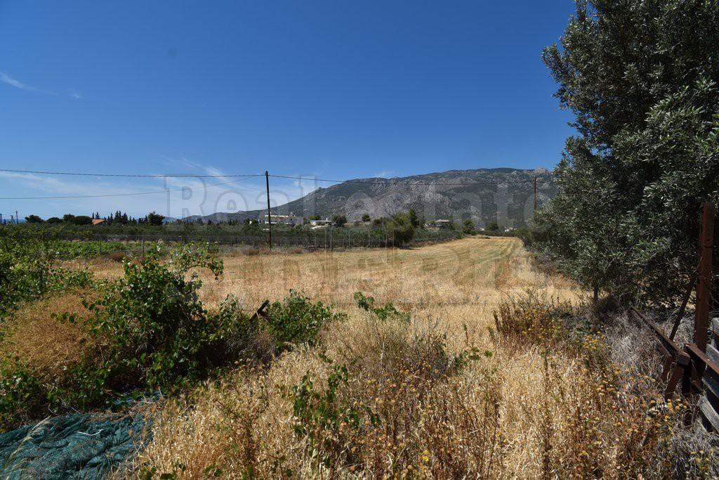 Αγροτεμάχια 5.000 τ.μ. προς πώληση, Λουτράκι-Περαχώρα