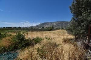 Αγροτεμάχια 5.000 τ.μ. για πώληση, Κορινθία, Λουτράκι-Περαχώρα-thumb-2
