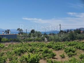 Αγροτεμάχια 5.000 τ.μ. για πώληση, Κορινθία, Λουτράκι-Περαχώρα-thumb-3