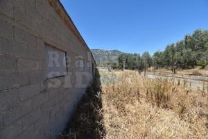 Αγροτεμάχια 5.000 τ.μ. για πώληση, Κορινθία, Λουτράκι-Περαχώρα-thumb-5