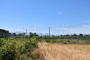 Αγροτεμάχια 5.000 τ.μ. για πώληση, Κορινθία, Λουτράκι-Περαχώρα-thumb-6