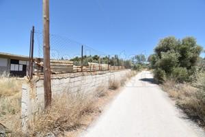 Αγροτεμάχια 5.000 τ.μ. για πώληση, Κορινθία, Λουτράκι-Περαχώρα-thumb-7