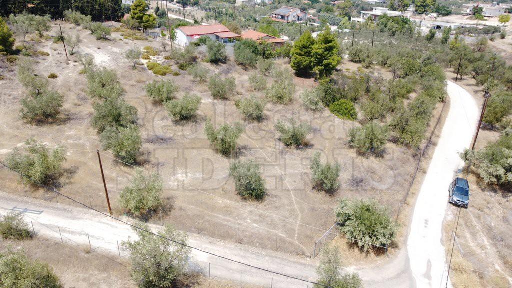 Αγροτεμάχια 4.850 τ.μ. πρός πώληση, Κορινθία, Λουτράκι-Περαχώρα