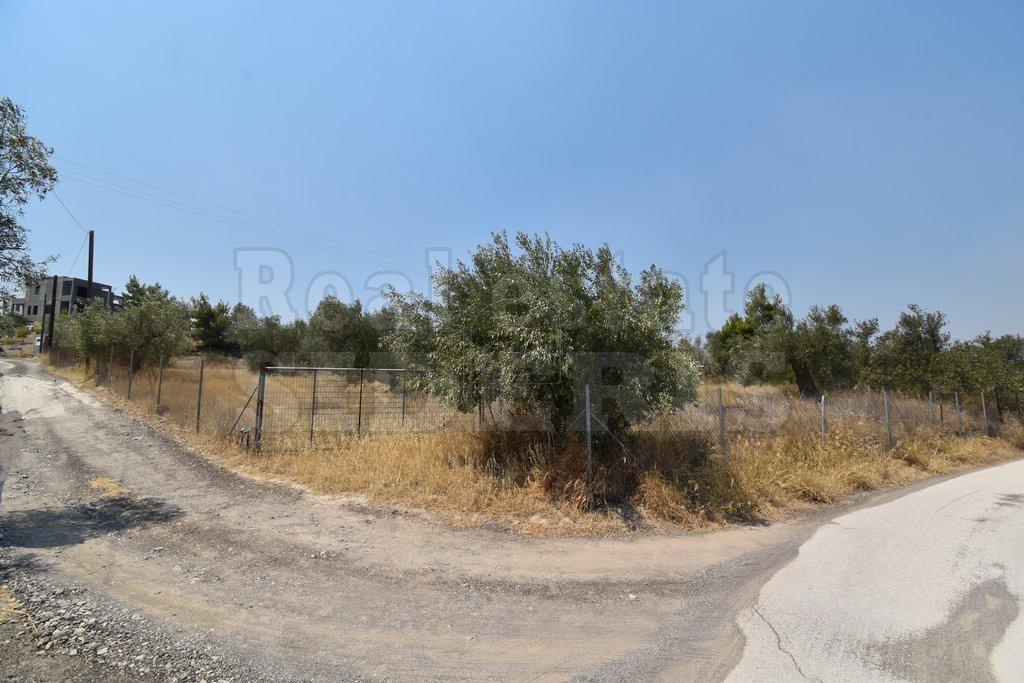 Αγροτεμάχια 4.850 τ.μ. πρός πώληση, Κορινθία, Λουτράκι-Περαχώρα