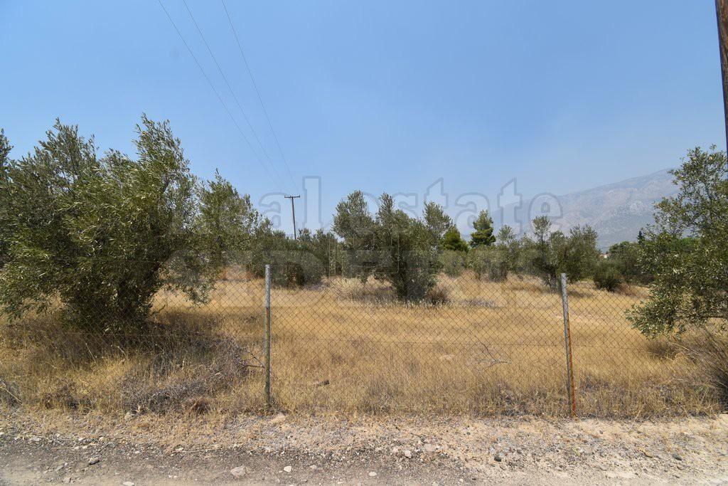 Αγροτεμάχια 4.850 τ.μ. πρός πώληση, Κορινθία, Λουτράκι-Περαχώρα