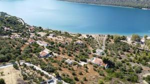 Αγροτεμάχια 4.000 τ.μ. για πώληση