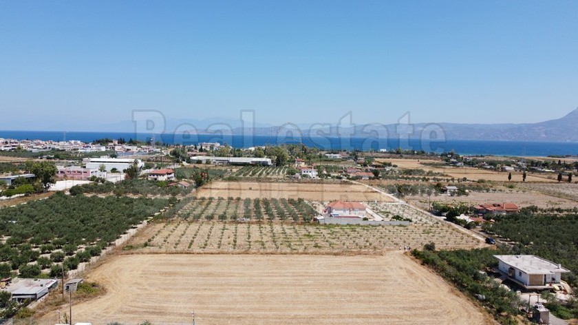 Αγροτεμάχια 5.500τ.μ. για πώληση-Άσσος-λεχαίο » Λέχαιο