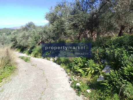 Land plot 1.780sqm for sale-Lappa » Episkopi