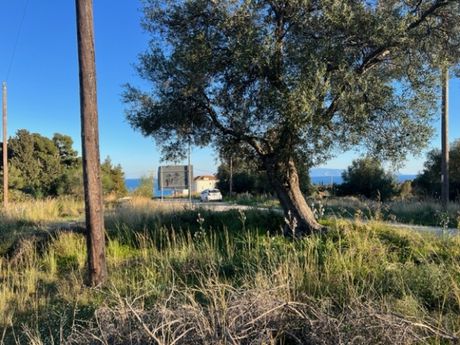 Land plot 1.570sqm for sale-Kefalonia » Leivatho