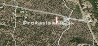 Αγροτεμάχια 784,11 τ.μ. για πώληση, Εύβοια, Αιδηψός-thumb-1