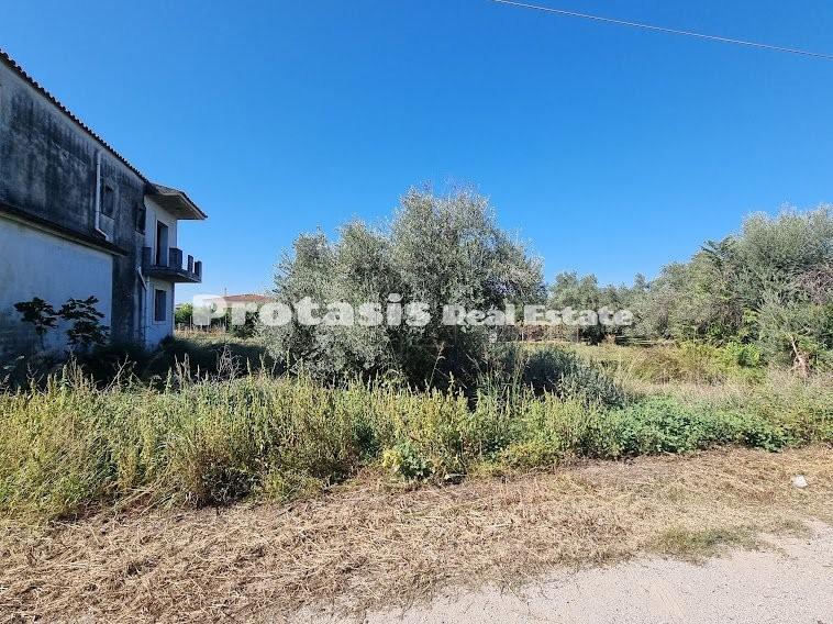 Μονοκατοικία 260,56 τ.μ. προς πώληση, Ωρεοί