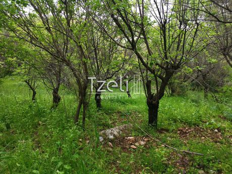 Αγροτεμάχια 1.750τ.μ. για πώληση-Ρίο » Ψαθόπυργος