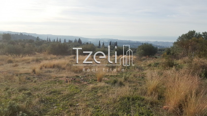 Land plot 5.000sqm for sale-Messatida » Krini