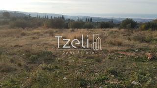 Οικόπεδο 5.000 τ.μ. για πώληση, Αχαΐα, Μεσσατίδα-thumb-1