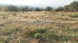 Οικόπεδο 5.000 τ.μ. για πώληση, Αχαΐα, Μεσσατίδα-thumb-2