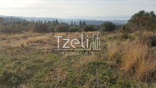 Οικόπεδο 5.000 τ.μ. για πώληση, Αχαΐα, Μεσσατίδα-thumb-3