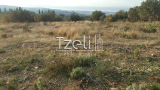 Οικόπεδο 5.000 τ.μ. για πώληση, Αχαΐα, Μεσσατίδα-thumb-4