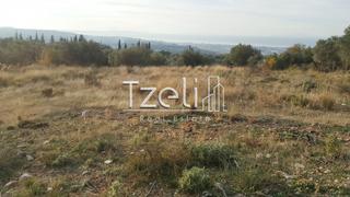 Οικόπεδο 5.000 τ.μ. για πώληση, Αχαΐα, Μεσσατίδα-thumb-6