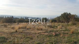 Οικόπεδο 5.000 τ.μ. για πώληση, Αχαΐα, Μεσσατίδα-thumb-8