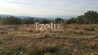 Οικόπεδο 5.000 τ.μ. για πώληση, Αχαΐα, Μεσσατίδα-thumb-13