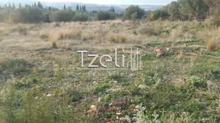 Οικόπεδο 5.000 τ.μ. για πώληση, Αχαΐα, Μεσσατίδα-thumb-15
