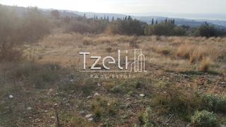 Οικόπεδο 5.000 τ.μ. για πώληση, Αχαΐα, Μεσσατίδα-thumb-21