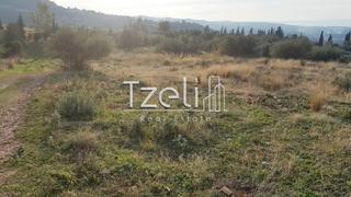 Οικόπεδο 5.000 τ.μ. για πώληση, Αχαΐα, Μεσσατίδα-thumb-23