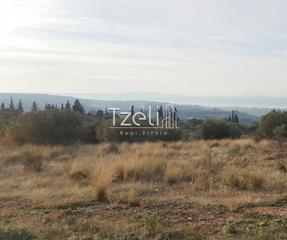 Οικόπεδο 5.000 τ.μ. για πώληση, Αχαΐα, Μεσσατίδα-thumb-27