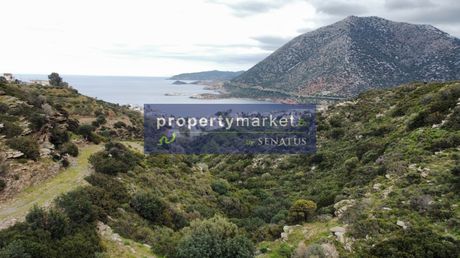 Αγροτεμάχια 18.000τ.μ. για πώληση-Γεροπόταμος » Μπαλί