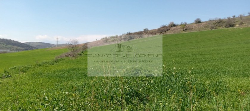 Αγροτεμάχια 8.250 τ.μ. για πώληση