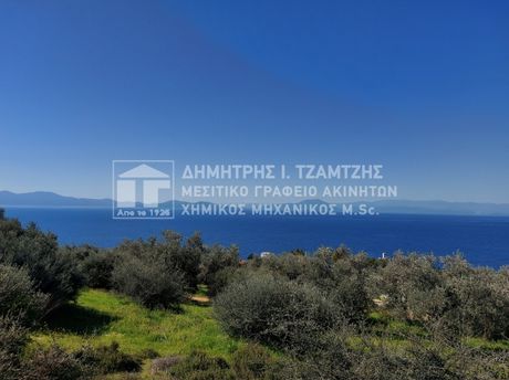 Αγροτεμάχια 4.258τ.μ. για πώληση-Αφέτες » Άφυσσος