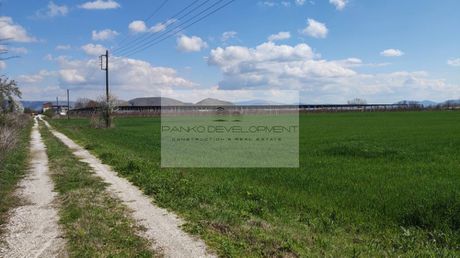 Αγροτεμάχια 25.200τ.μ. για πώληση-Σελλάνα » Κόρδα