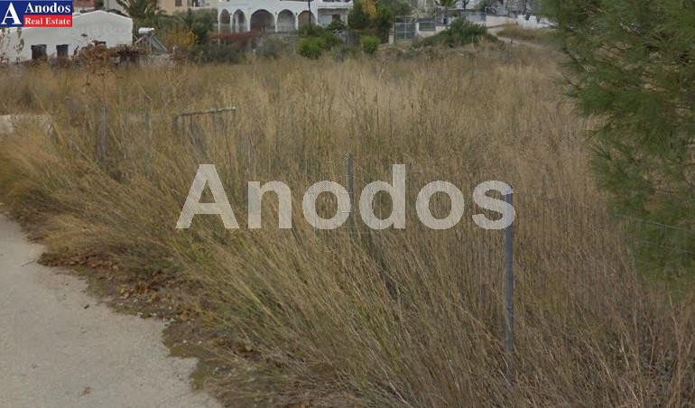 Οικόπεδο 4.400τ.μ. για πώληση-Μαρκόπουλο » Κέντρο