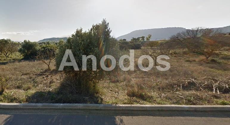 Οικόπεδο 1.600 τ.μ. για πώληση