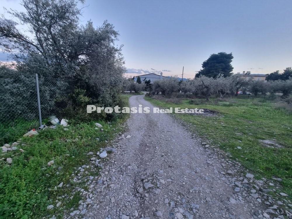Οικόπεδο 226,52 τ.μ. προς πώληση, Άγιος Γεώργιος Λιχάδας