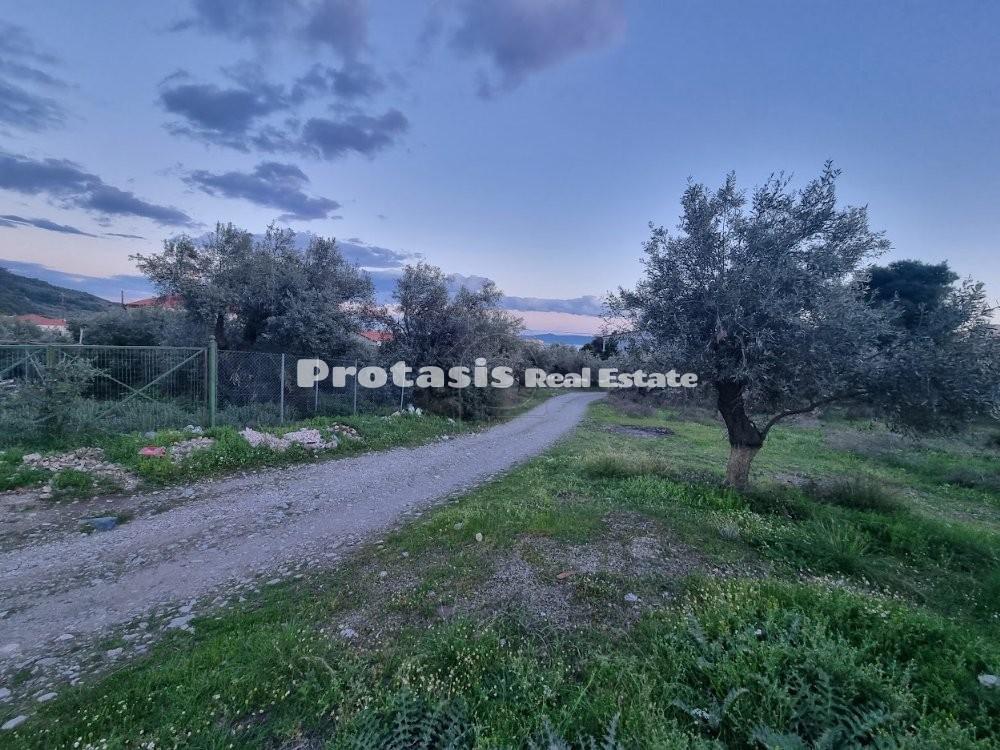 Οικόπεδο 226,52 τ.μ. προς πώληση, Άγιος Γεώργιος Λιχάδας