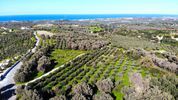 Land plot 4.373sqm for sale-Arkadi » Amnatos