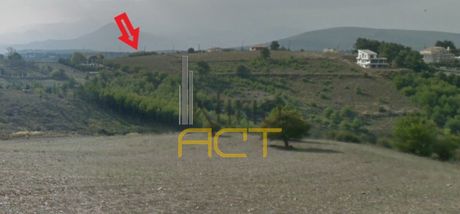 Οικόπεδο 4.006τ.μ. για πώληση-Κ. καπανδριτίου » Άγιοι ανάργυροι