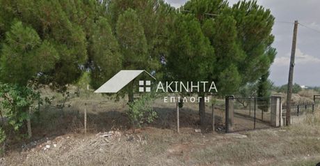 Αγροτεμάχια 1.370τ.μ. για πώληση-Αλεξανδρούπολη » Παλαγία