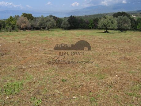 Αγροτεμάχια 16.021τ.μ. για πώληση-Αργαλαστή » Αγία τριάδα