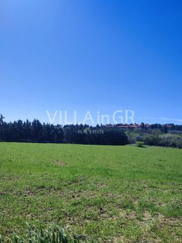 Parcel 6.500sqm for sale-Oreokastro » Galini